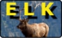 Elk Skin Leather